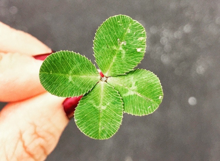 幸运地得到一个好产品而不下测试订单是很少见的