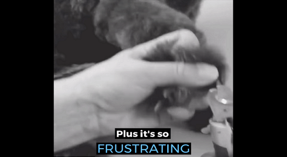 Facebook ads for beginners: Use words that convey urgency and a problem