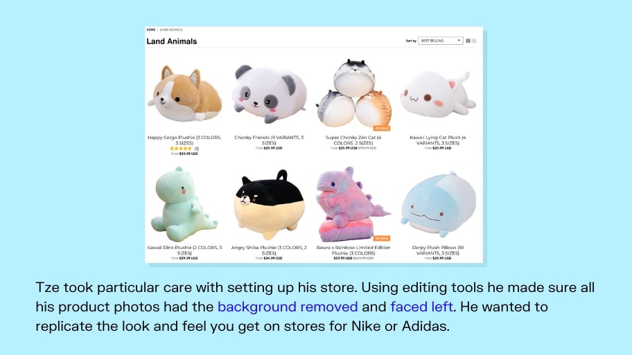 微妙的亚洲对待商店页面