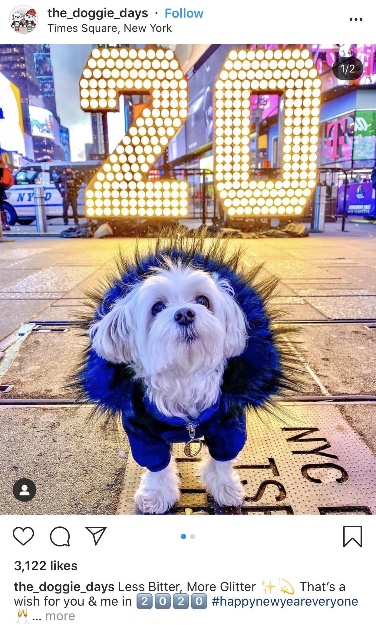 instagram上的新年字幕