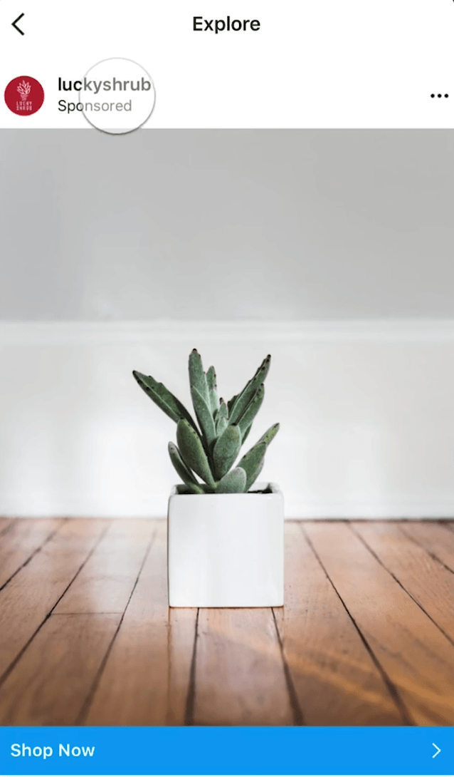 Instagram探索广告