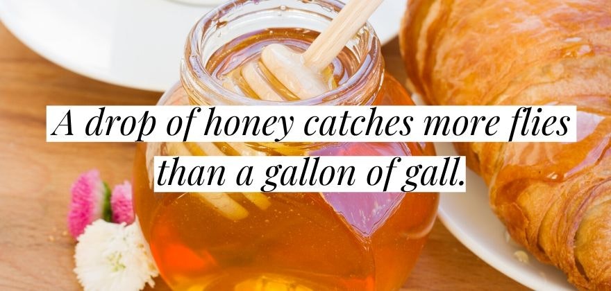 如何赢得朋友和影响人的报价