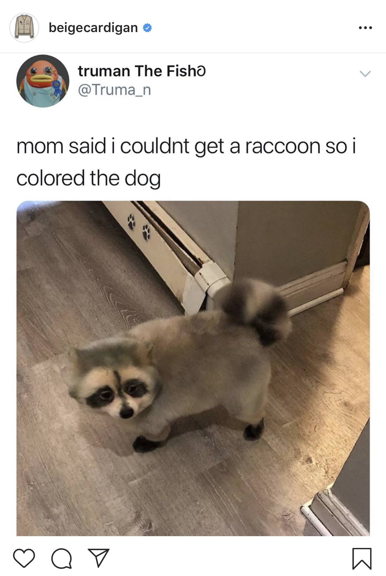 贝的开襟羊毛衫instagram主页