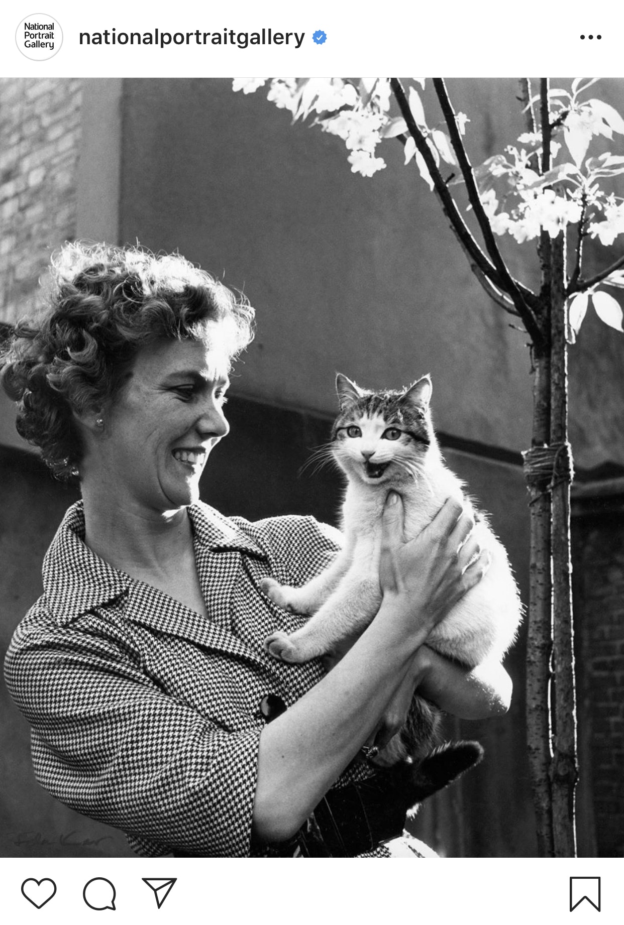 国家肖像画廊instagram的个人资料