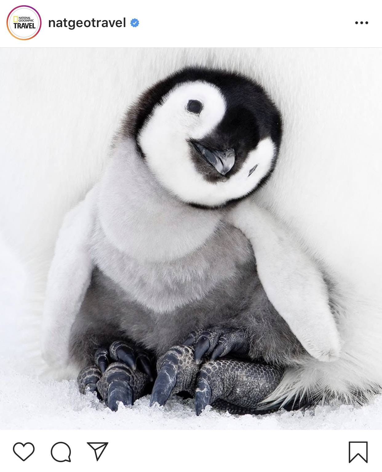 Natgeotravel的instagram账号