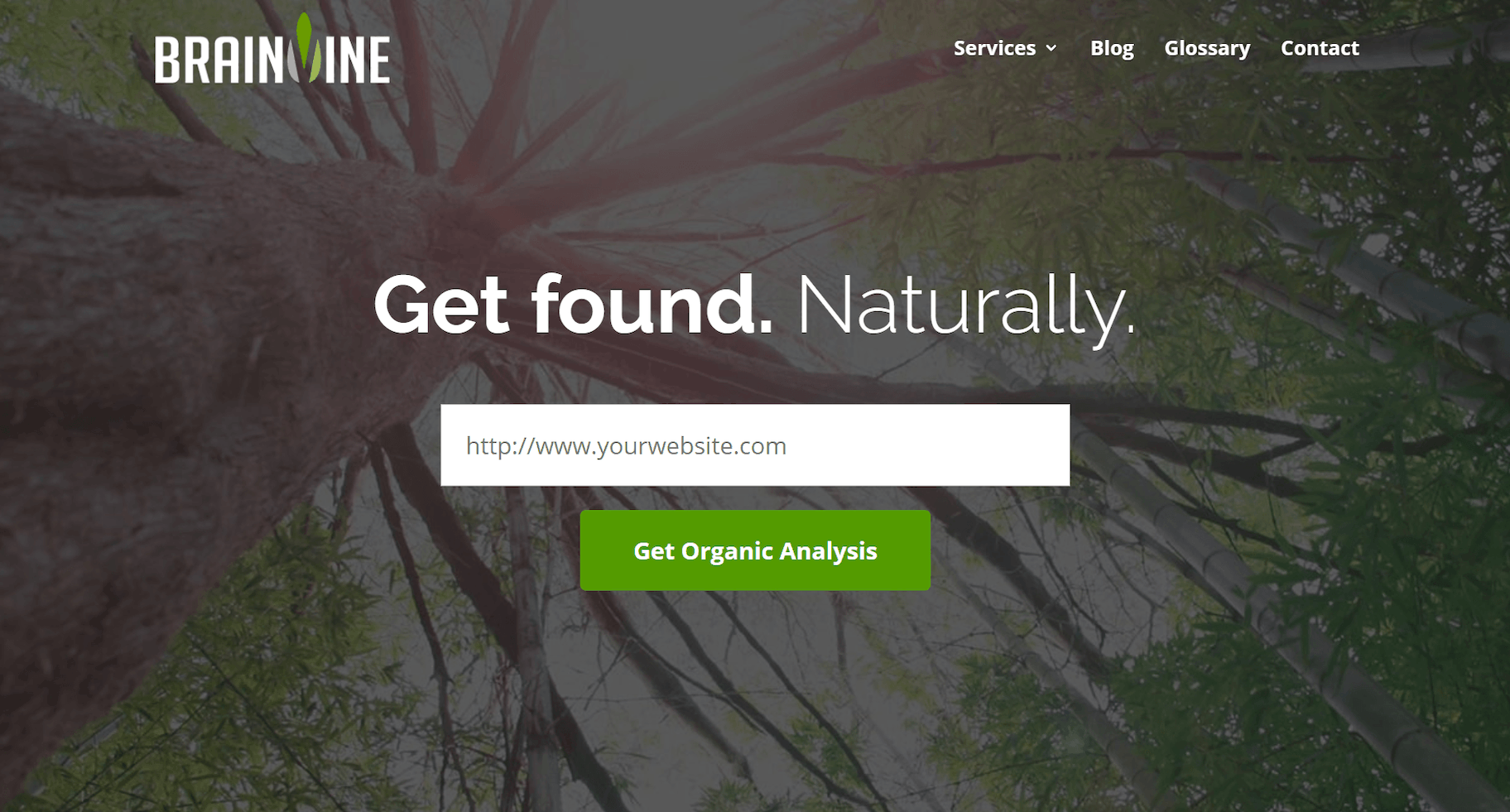 什么是商业网站