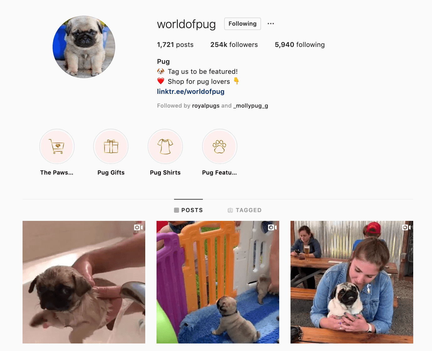 通过粉丝页面在shopify上出售