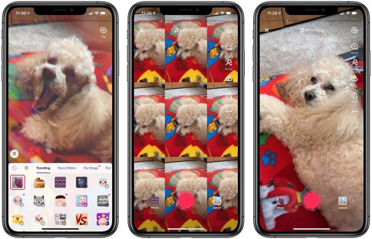 抖音社交媒体网站