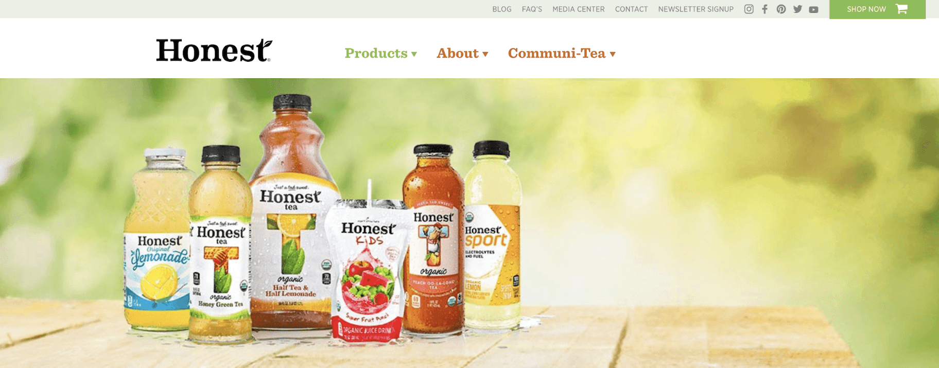 诚实的愿景陈述