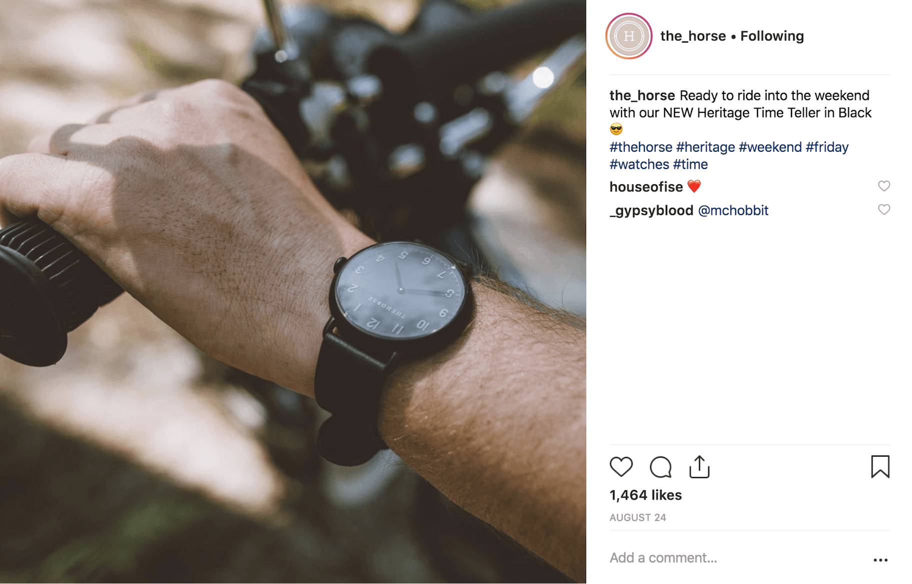 关于马的Instagram帖子