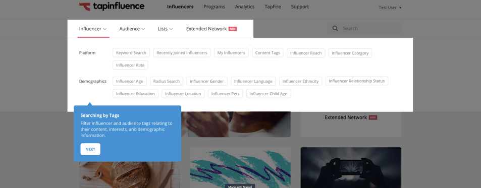 Tapinfluence仪表板