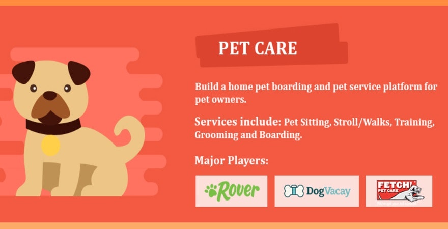 宠物护理宣传单