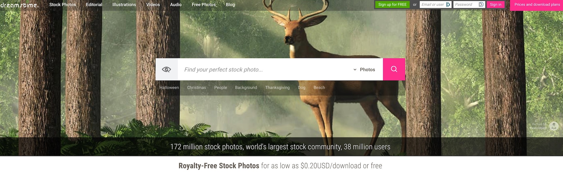 出售摄影梦幻时光