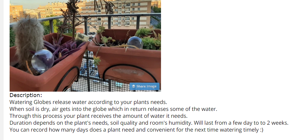 Screenshot of AliExpress product description