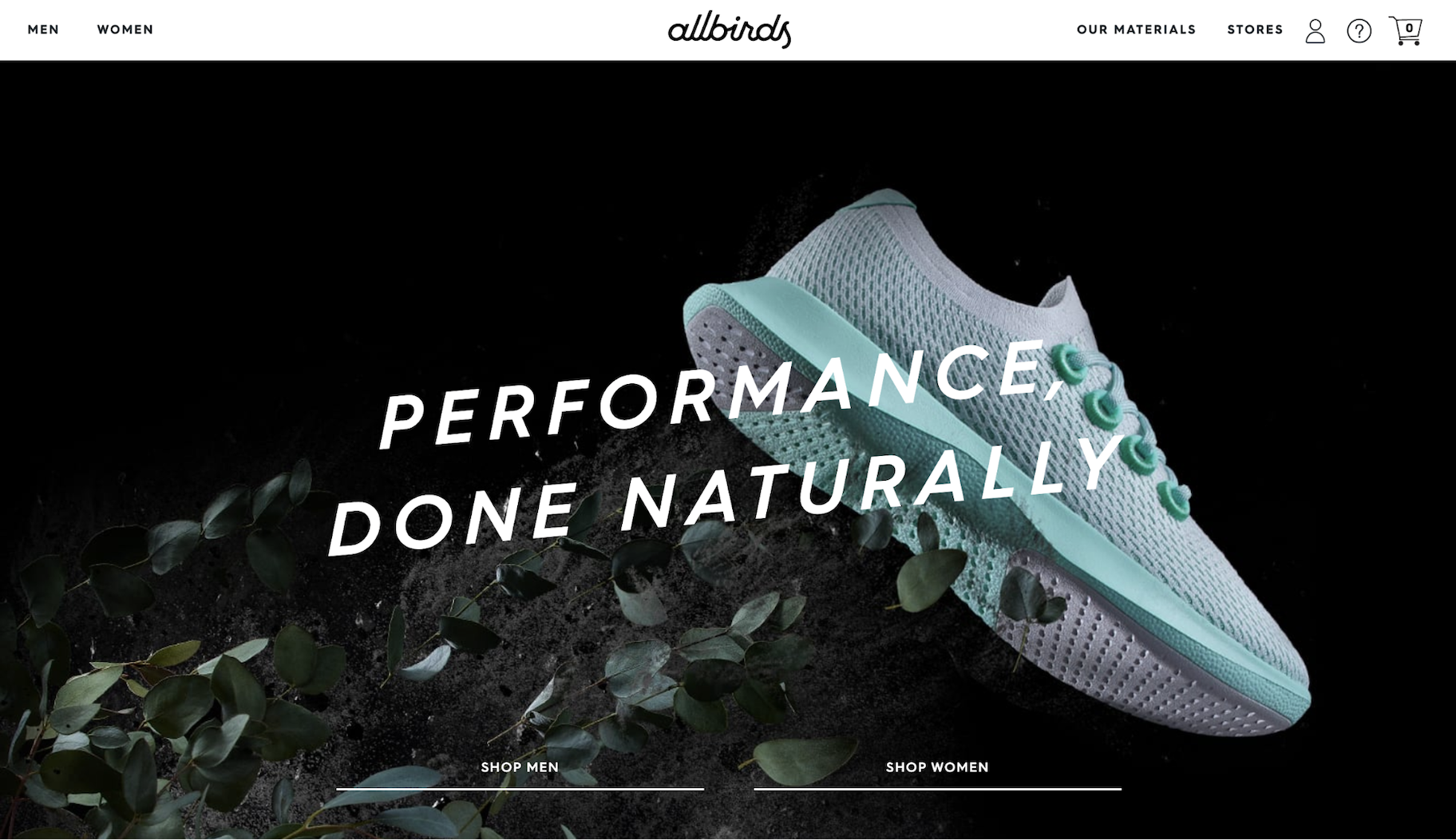 小型企业网站的例子:Allbirds