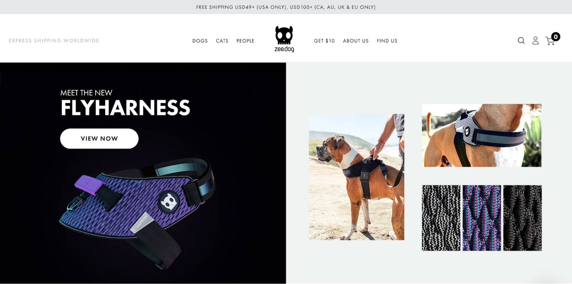 小型企业网站的例子:ZeeDog