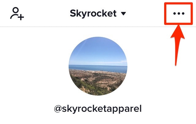 TikTok个人资料菜单