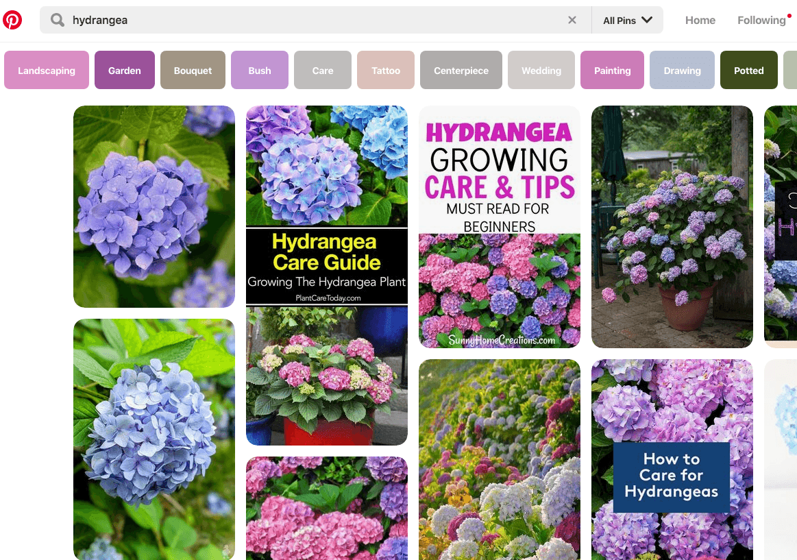 图片搜索引擎Pinterest
