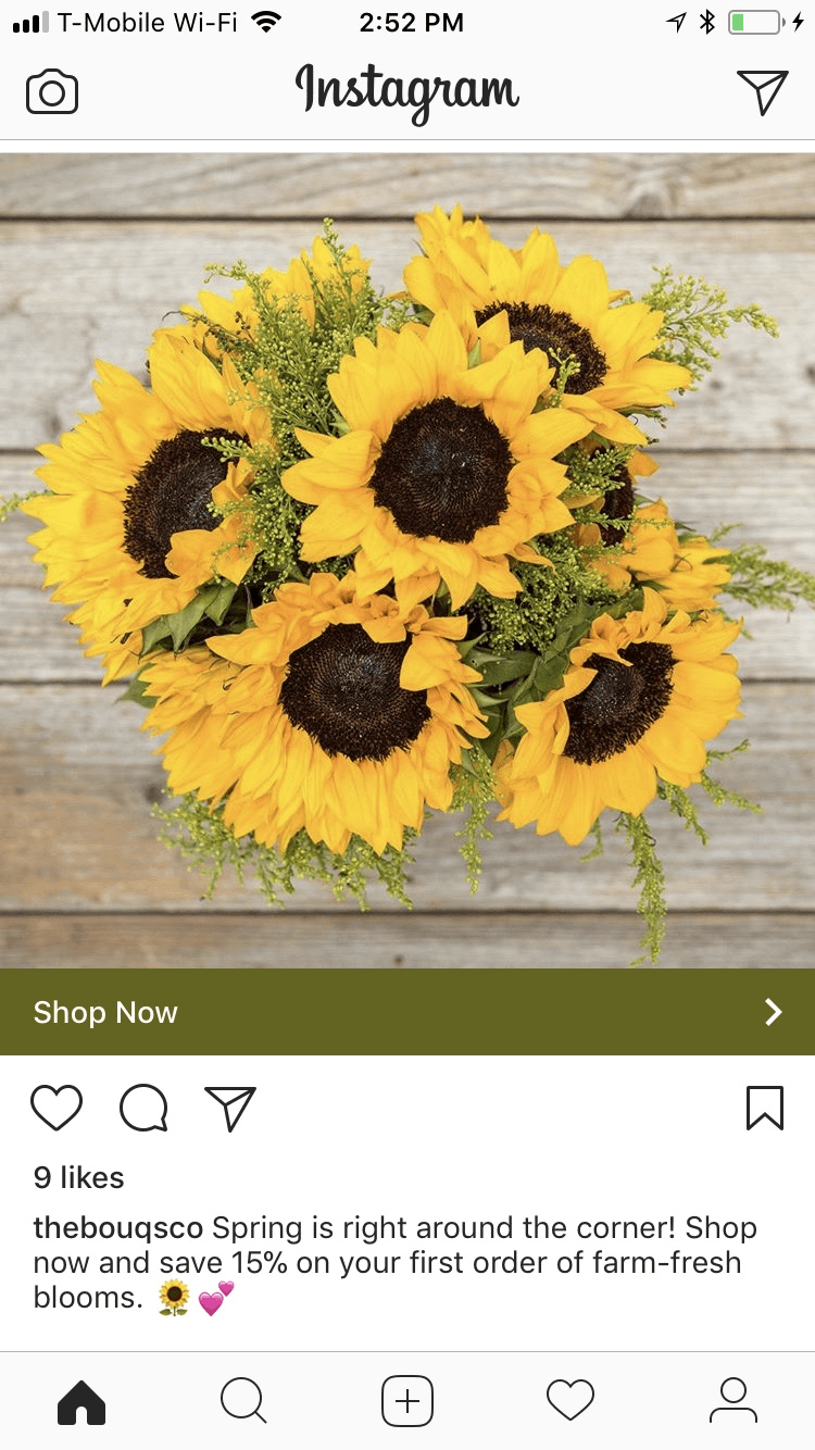 截图of instagram ad