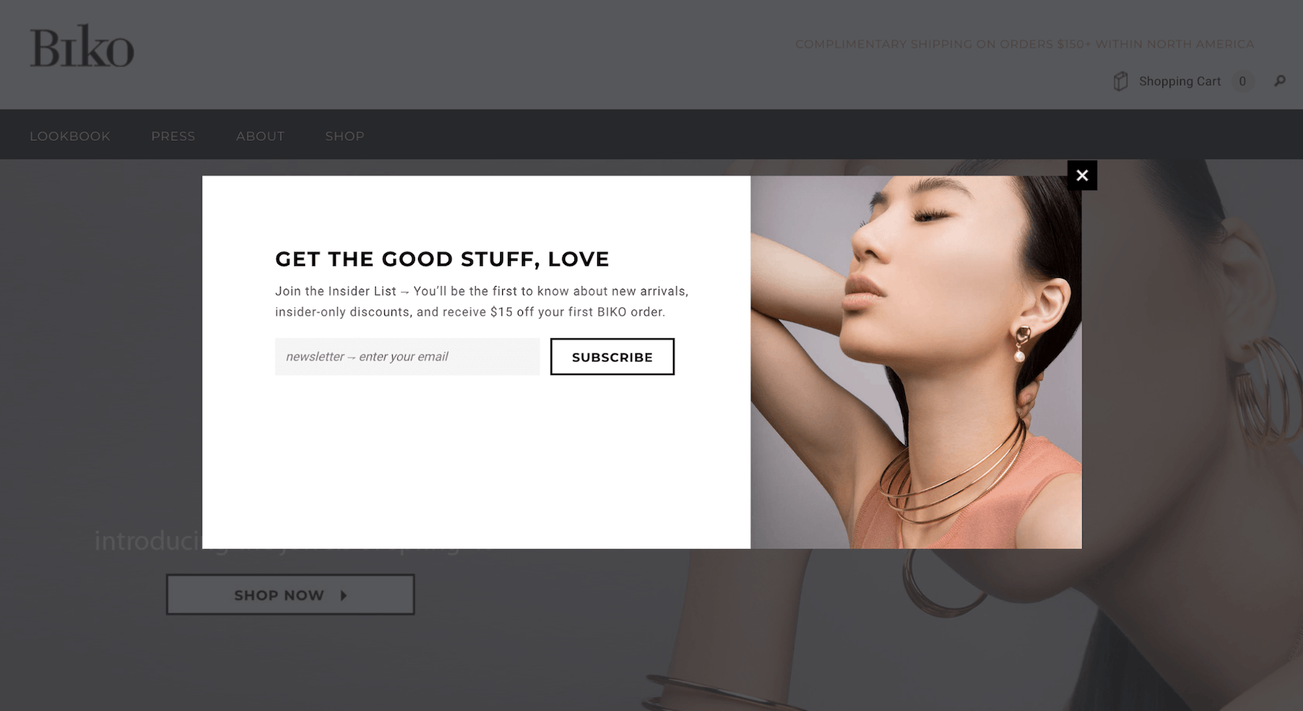 Biko电子邮件营销