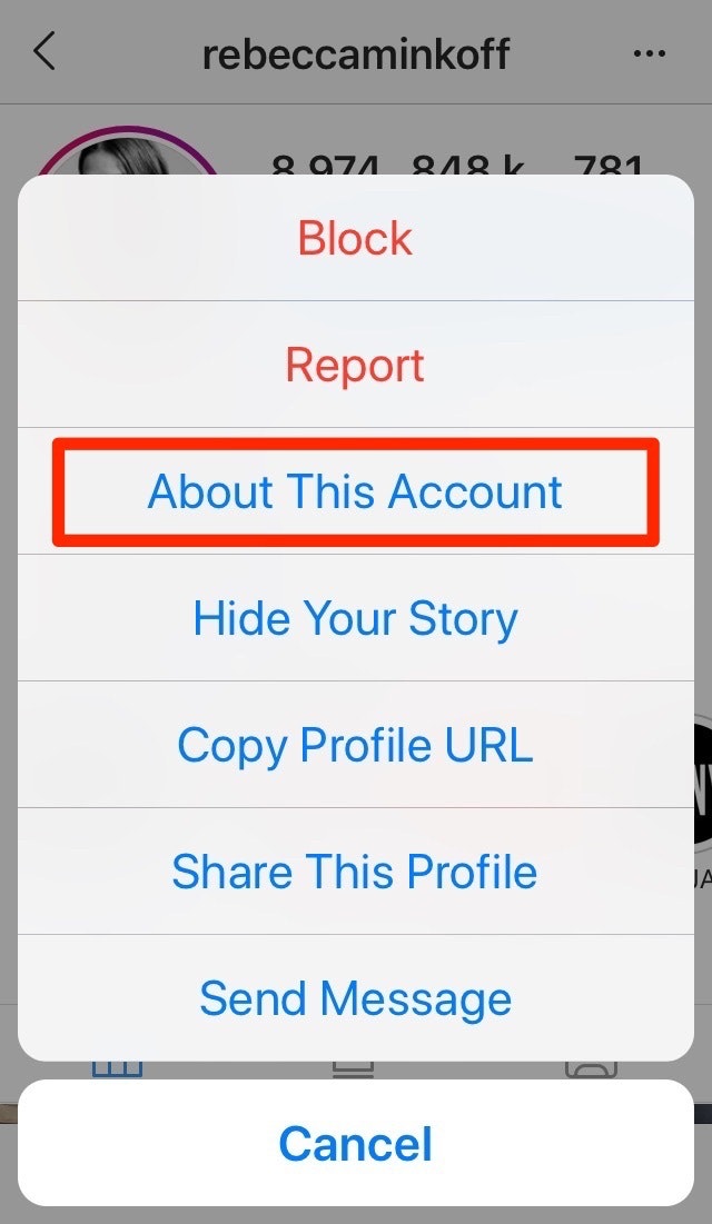 rebecca Minkoff Instagram广告