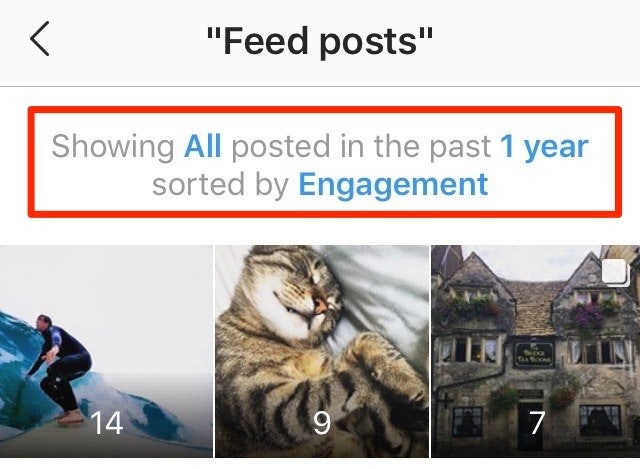 Instagram Insights