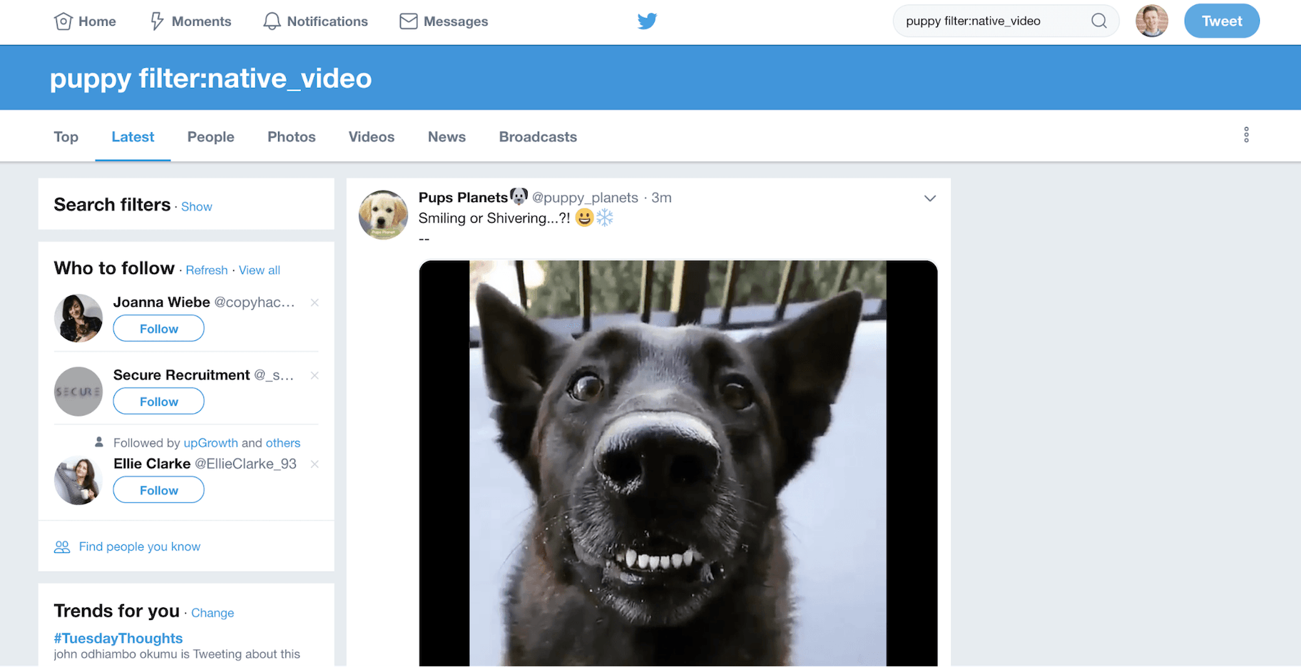 推特搜索运营商
