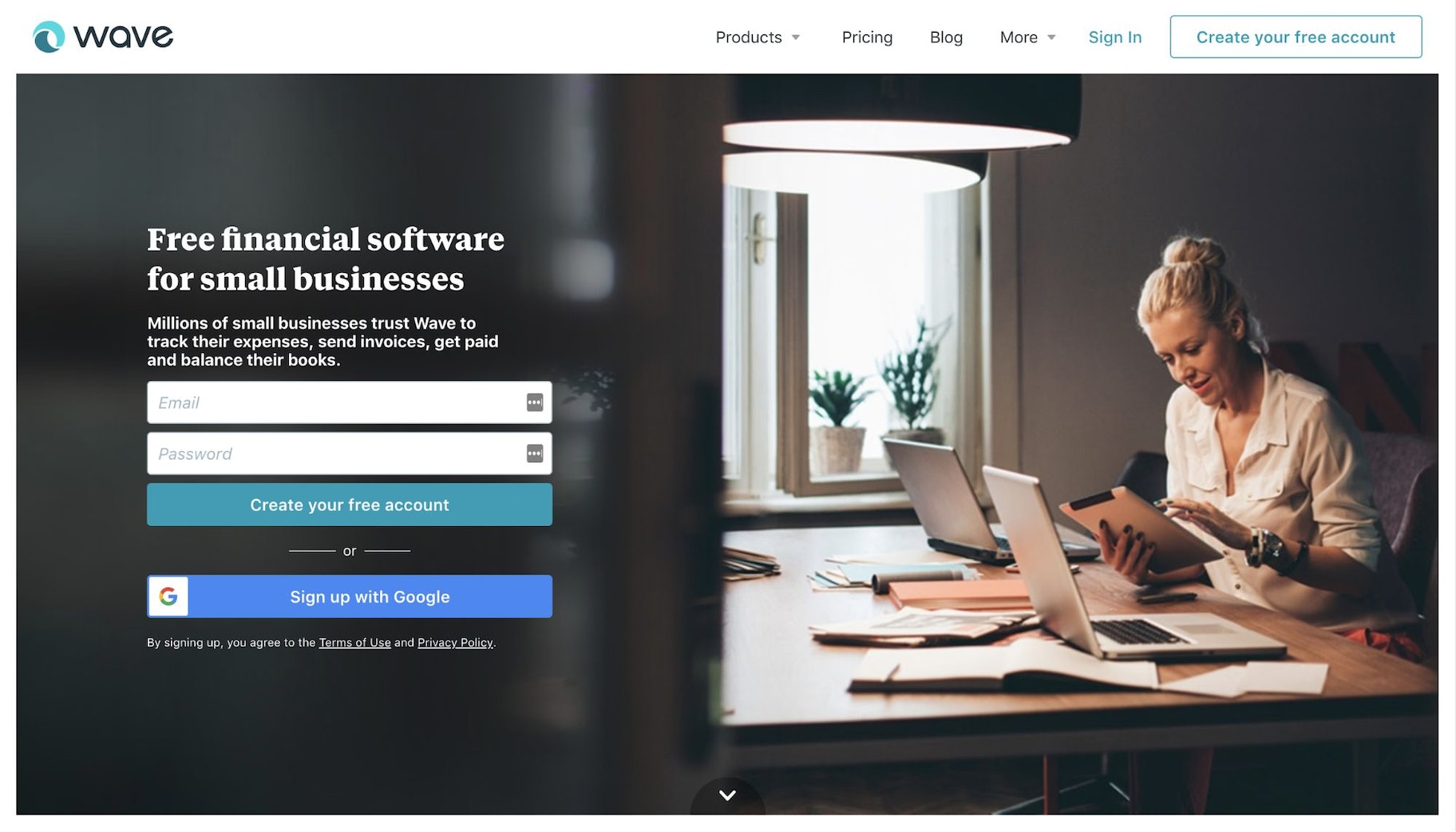 Wave Accounting Software