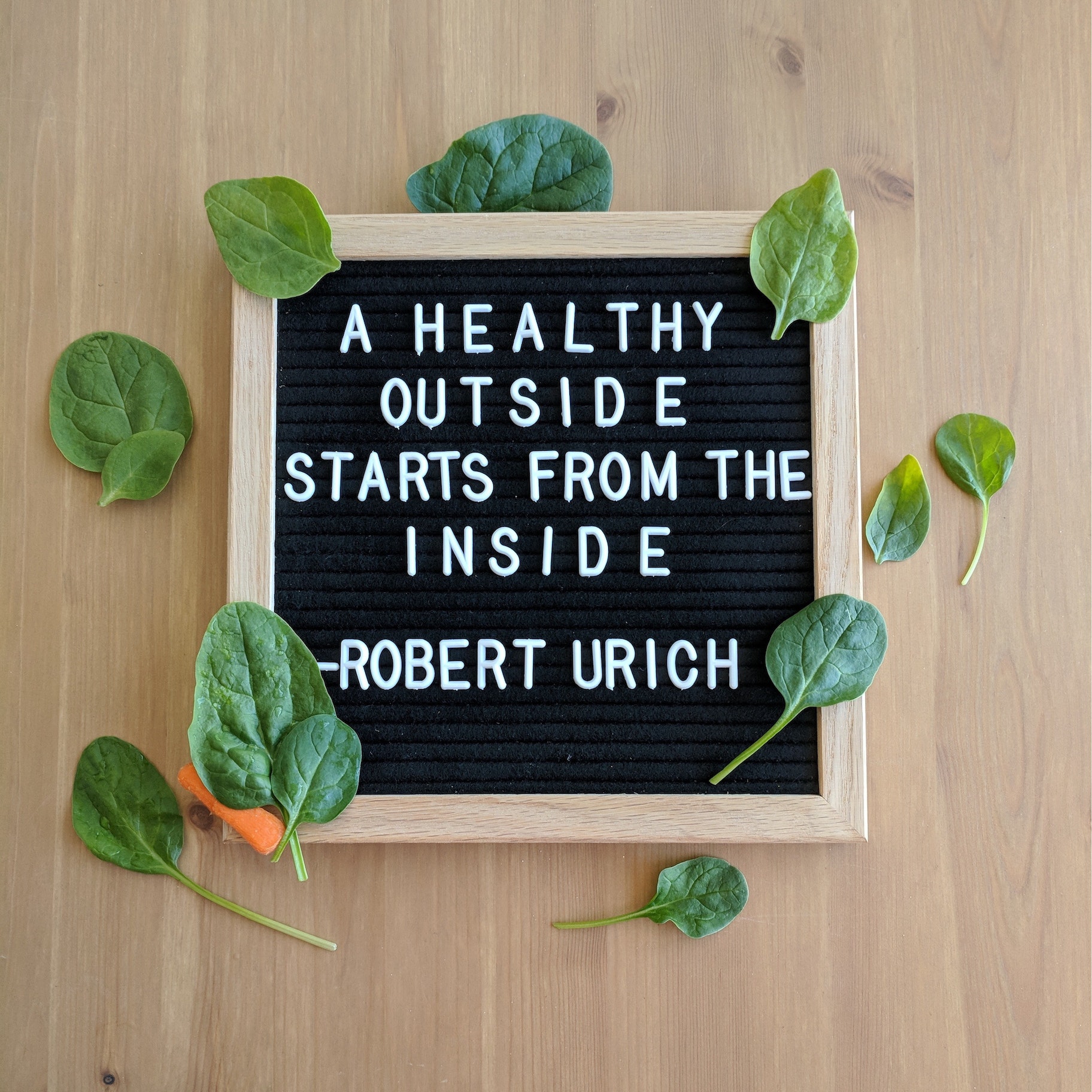 罗伯特·乌里奇引用