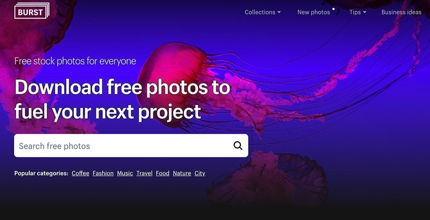 Shopify工具-爆裂