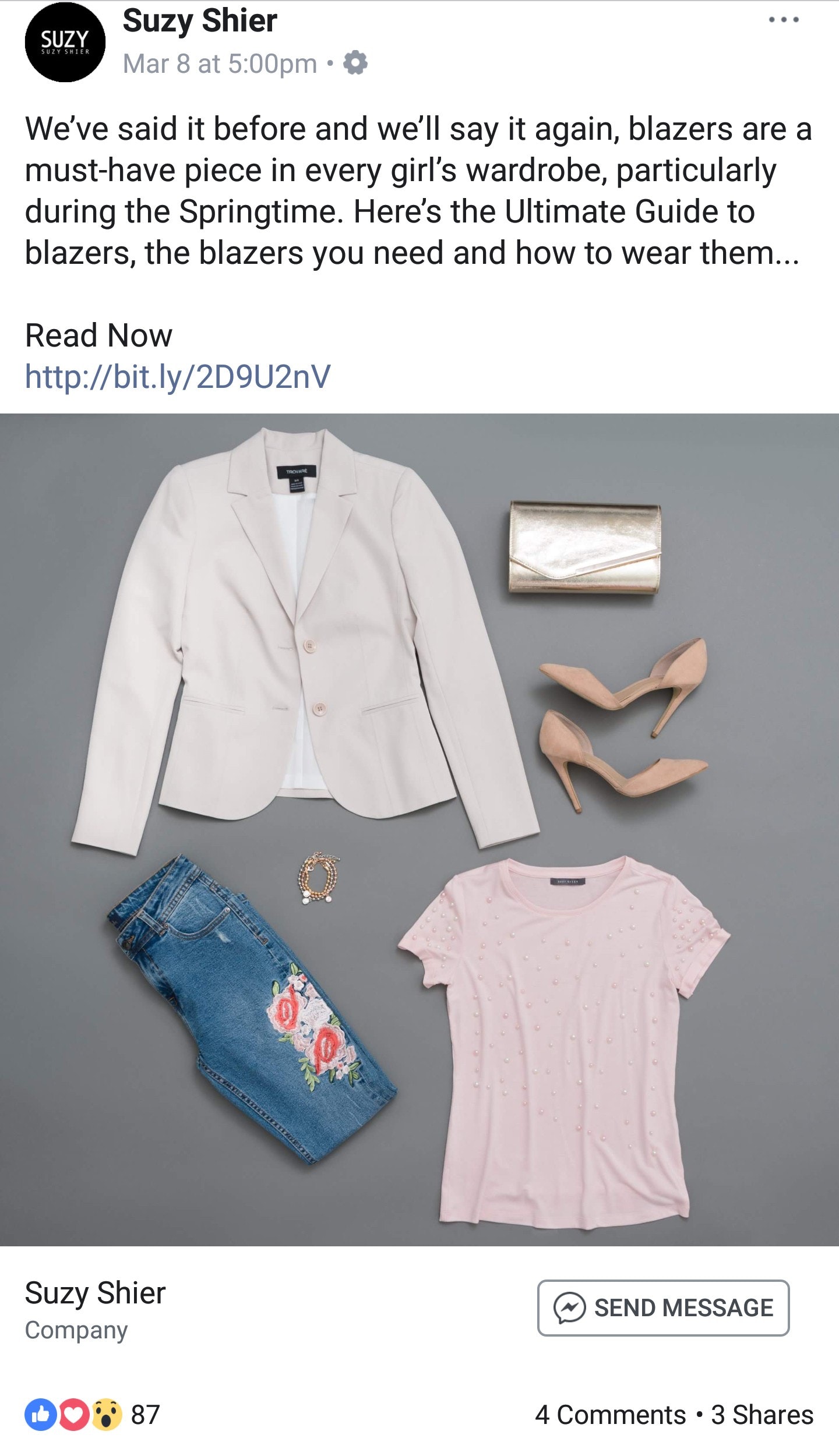 Suzy Shier - Facebook广告的例子