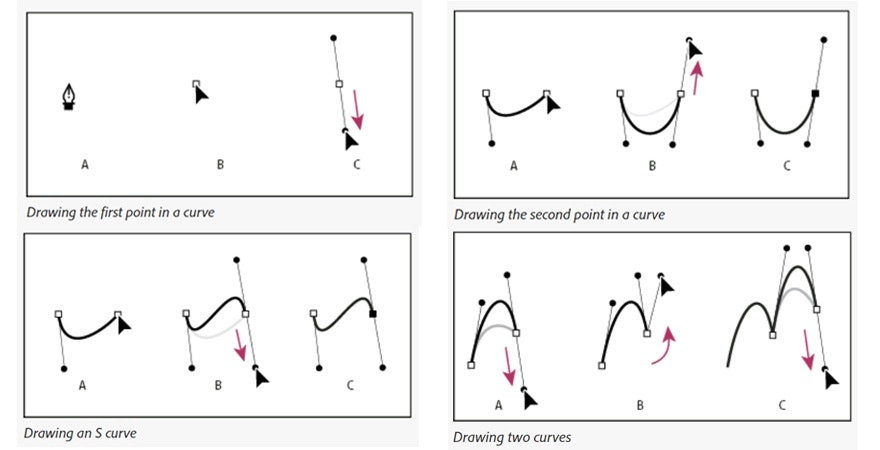 To draw a shape with curves on Photoshop