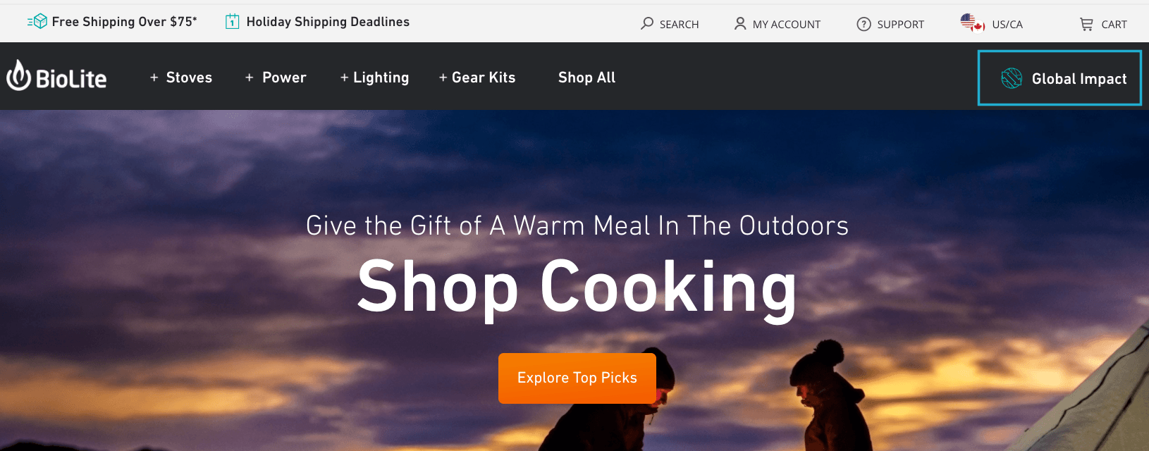 BioLite公司的全球影响项目