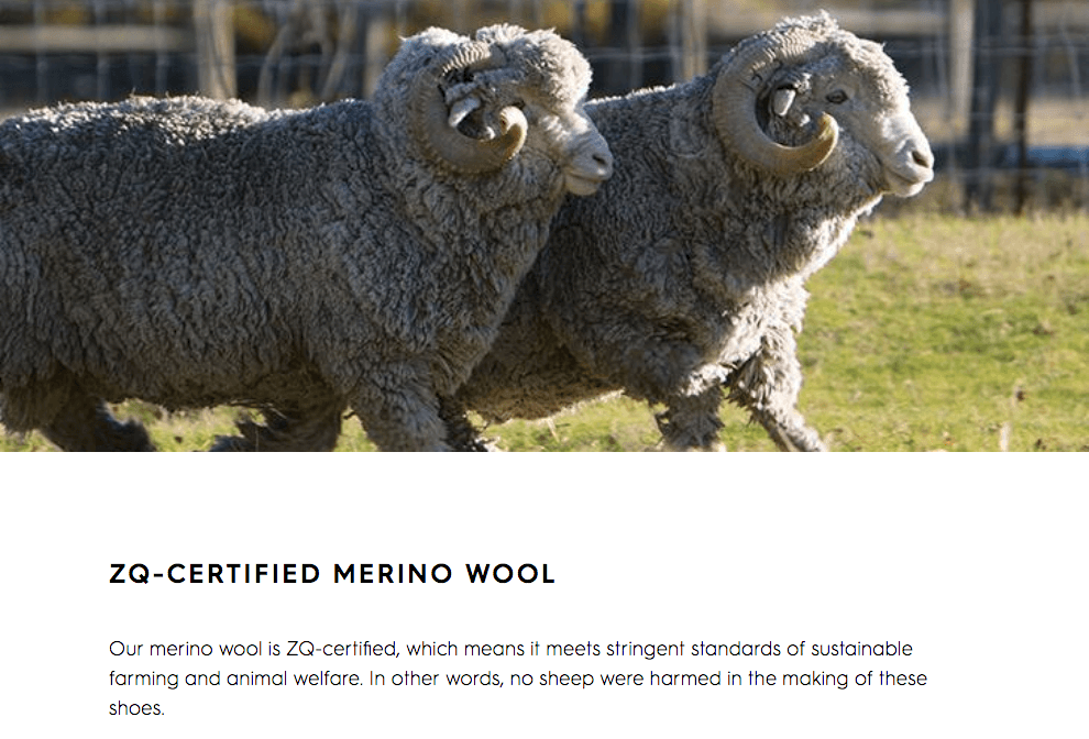 全鸟鞋的可持续性