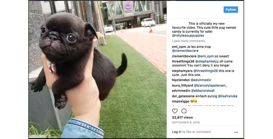 如何破解Instagram