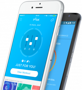 训练你的大脑应用程序:高峰