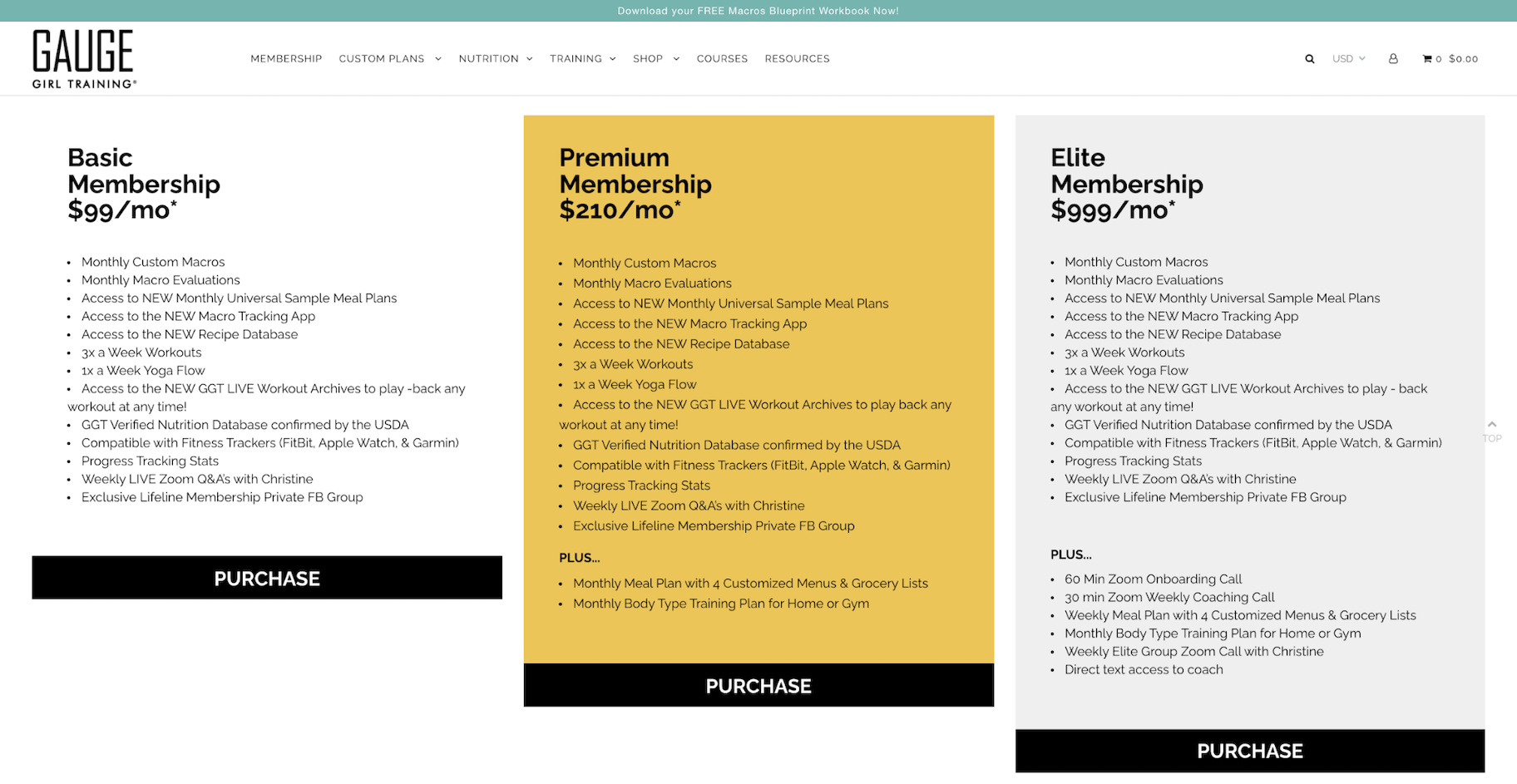 数字产品的例子:压力表女孩