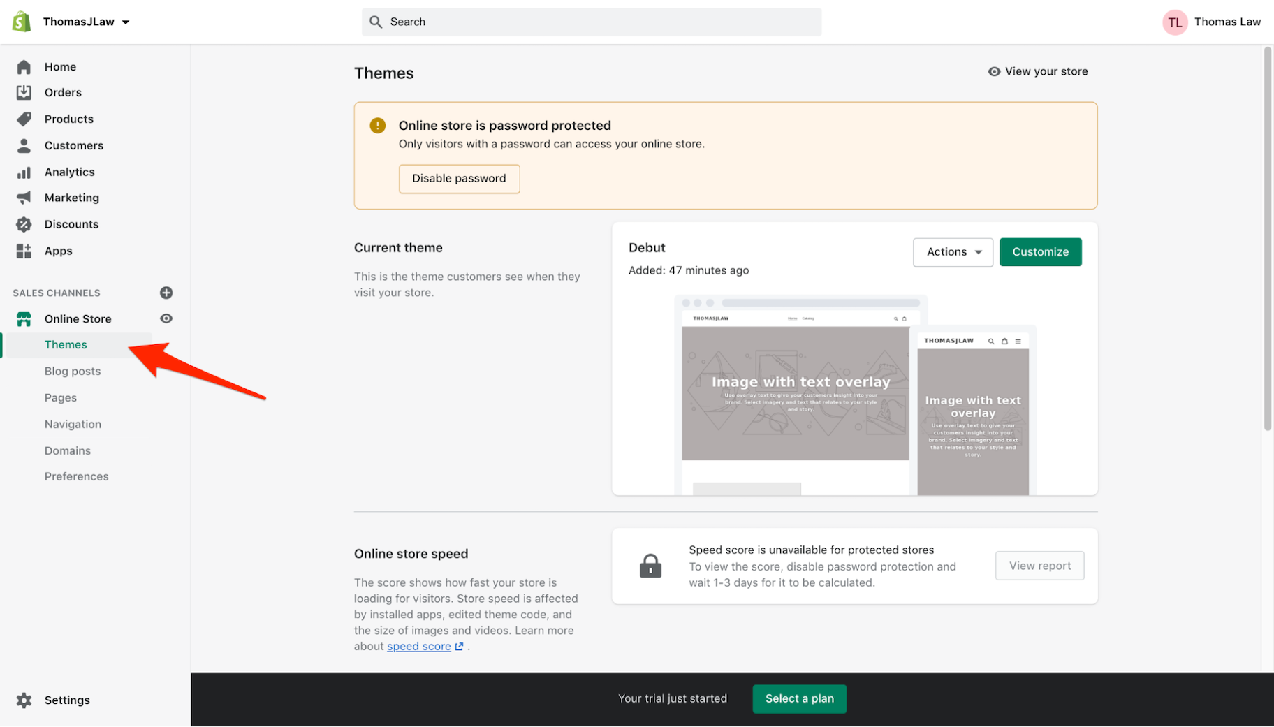 为傻瓜购物:主题