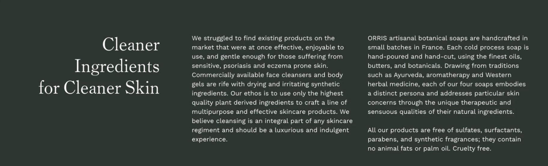 Cotopaxi执行摘要