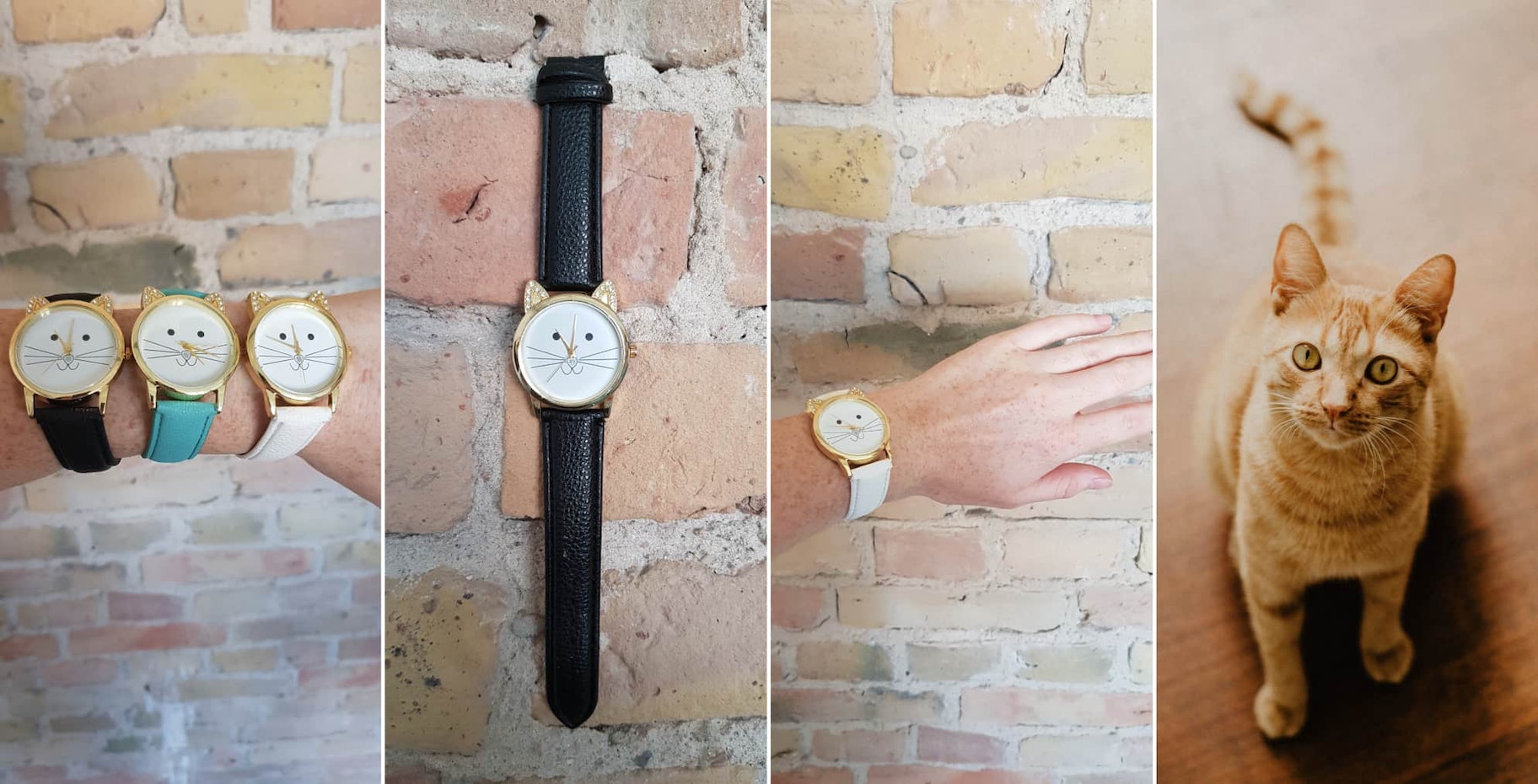 猫的手表