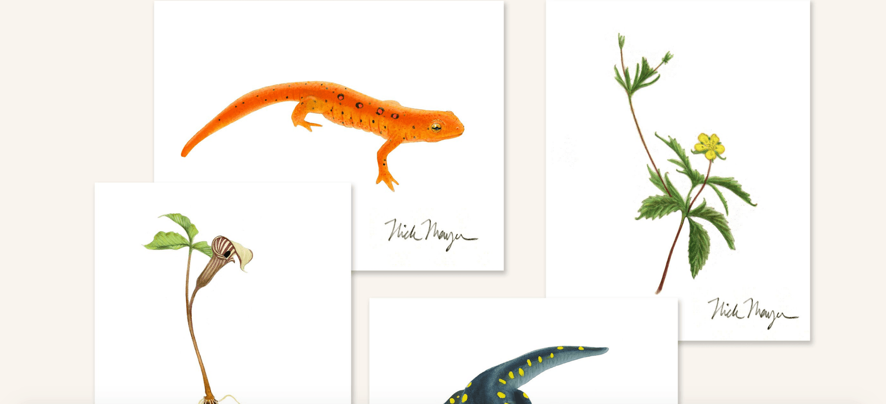 为艺术商店购物