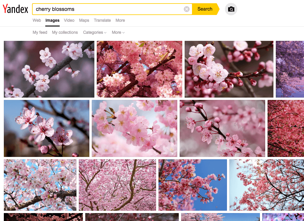 最好的图片搜索引擎Yandex