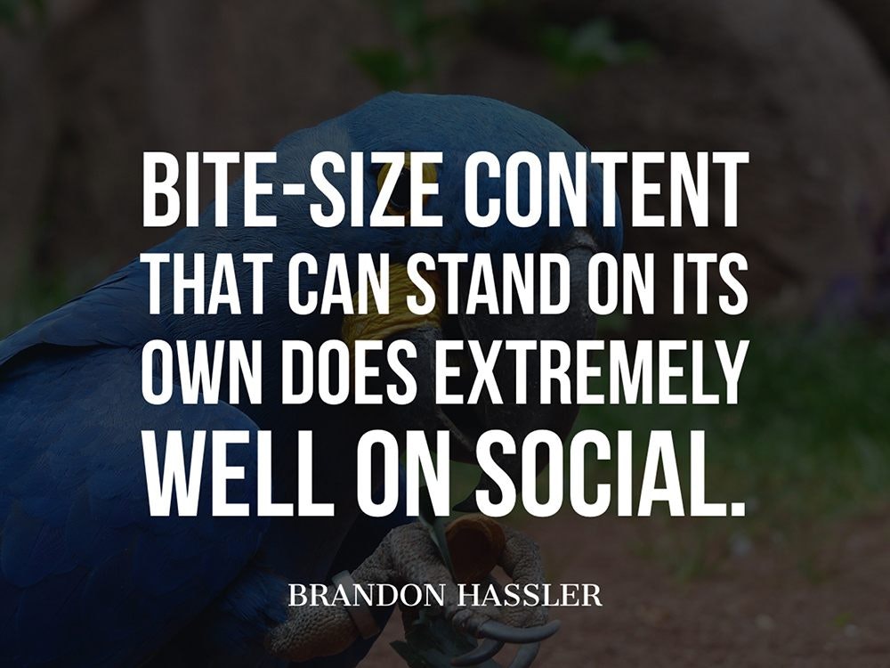能够独立存在的小内容在社交平台上表现得非常好。