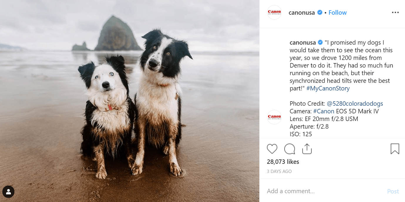 为更多的追随者大声喊出来的帖子