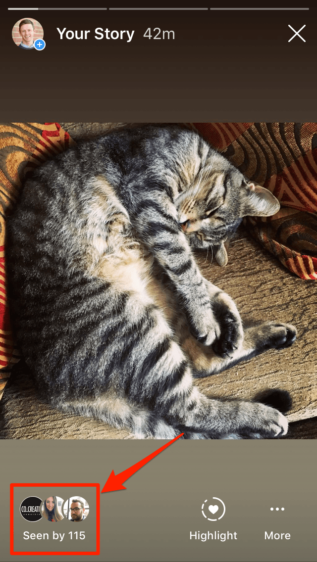 看到的Instagram见解