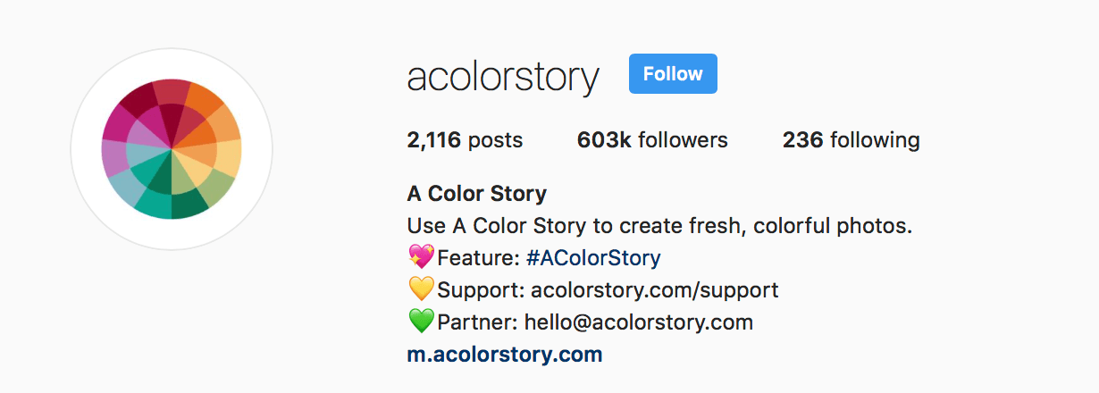 a color story instagram bio