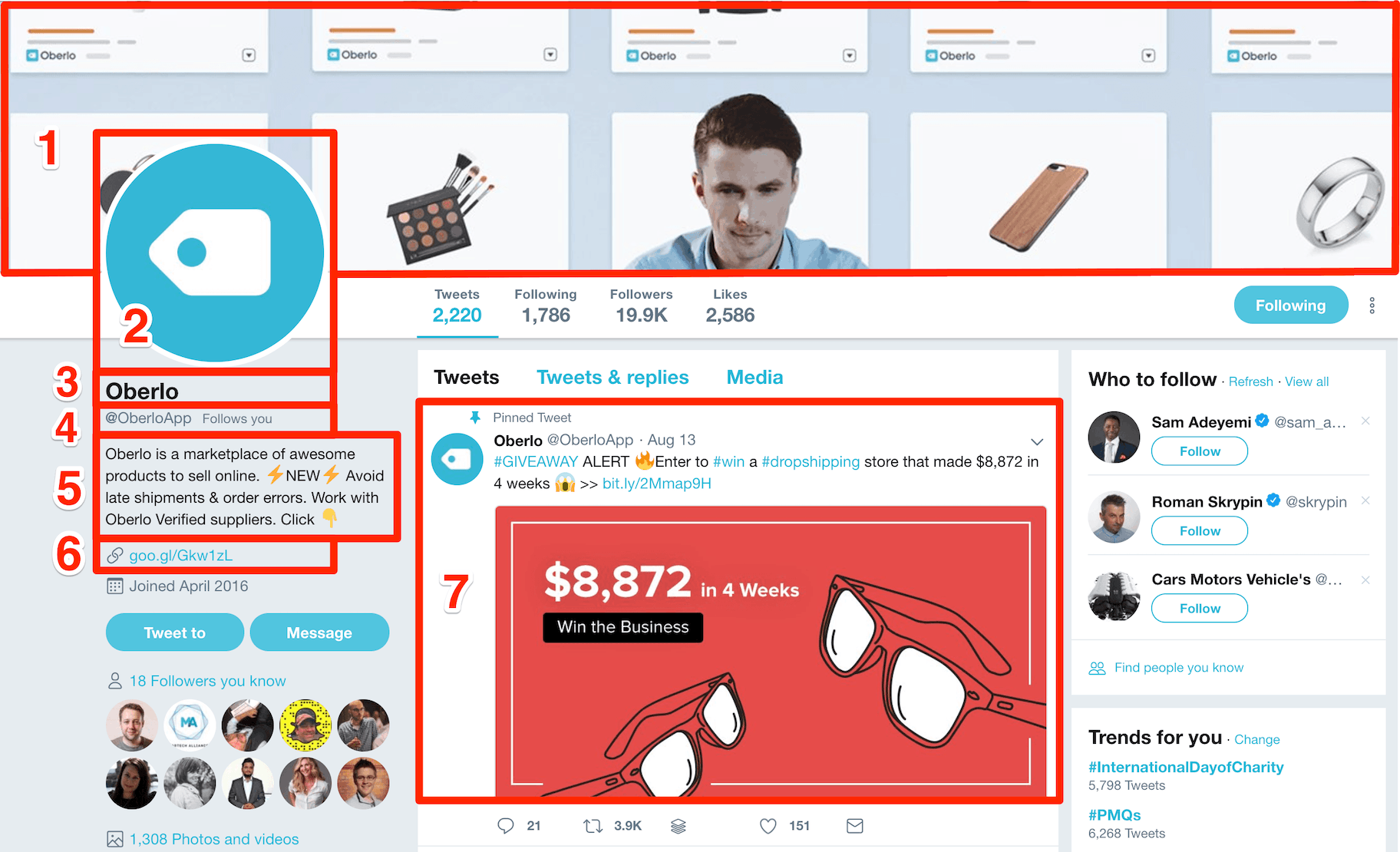 Twitter Profile Elements