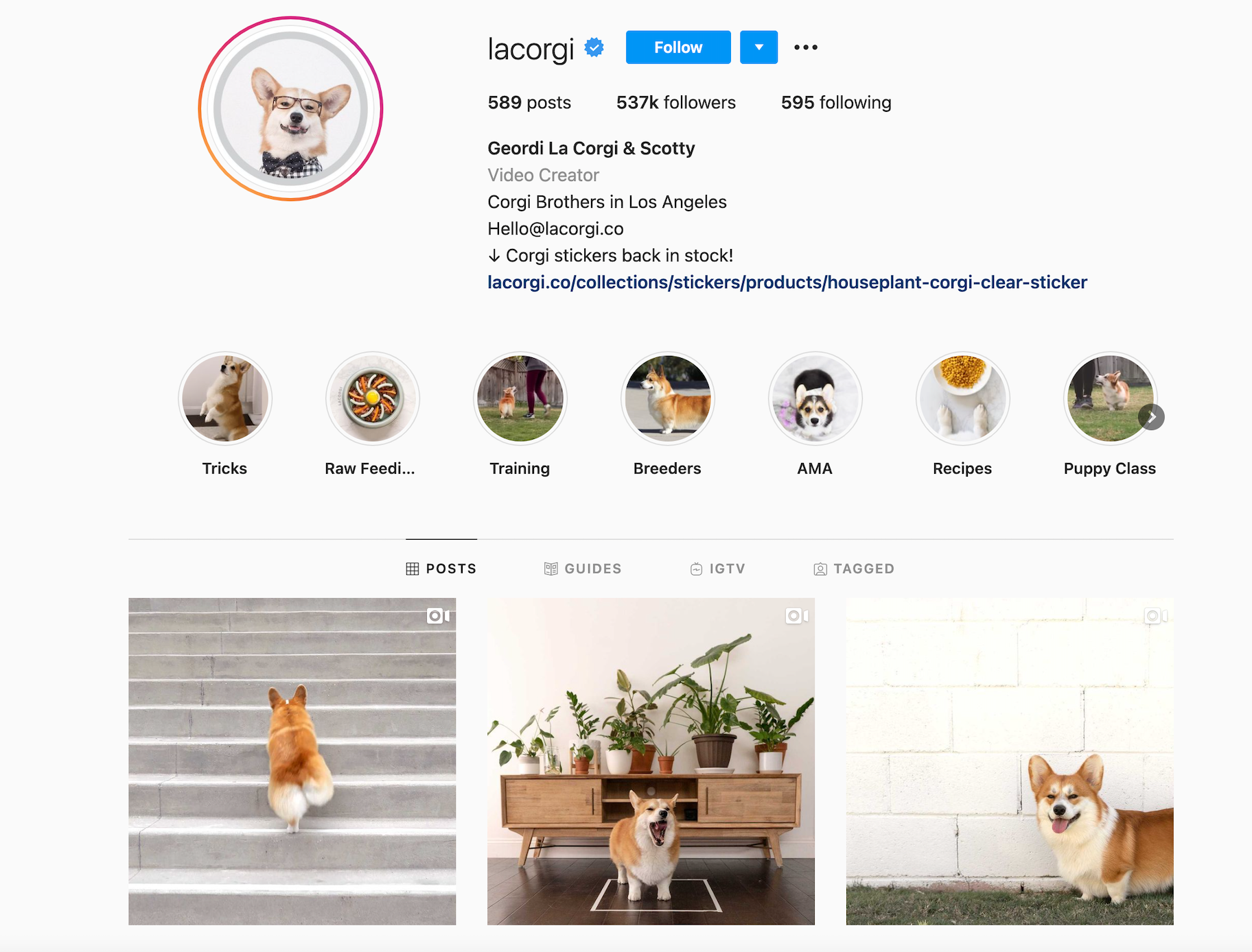 Instagram一致的品牌