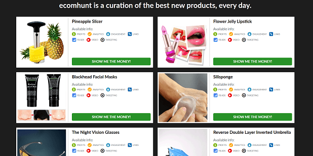 Ecomhunt的主页向您展示获奖产品