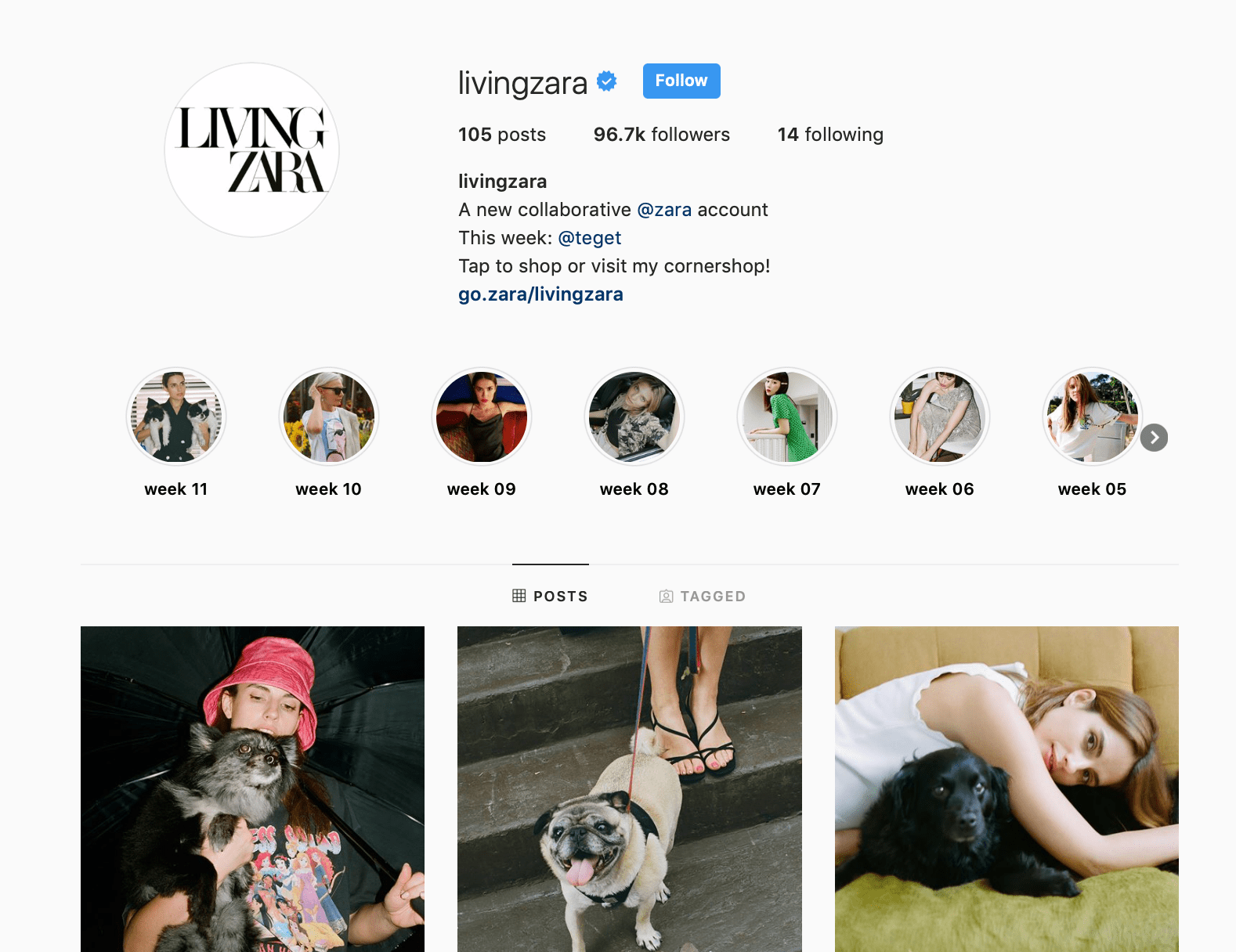 Living Zara Instagram页面截图